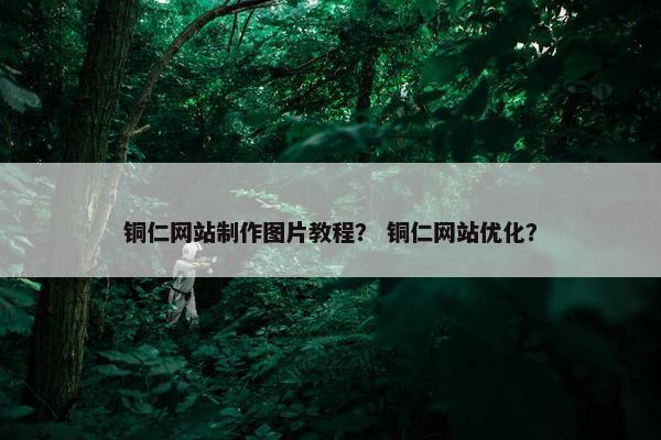 铜仁网站制作图片教程？ 铜仁网站优化？