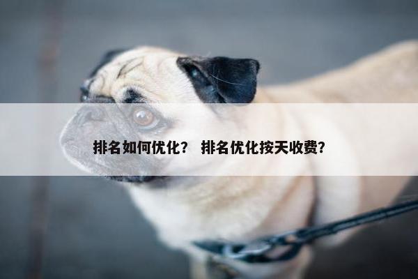 排名如何优化？ 排名优化按天收费？