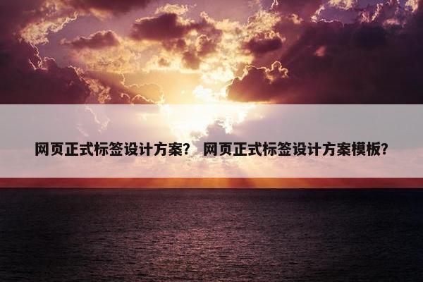 网页正式标签设计方案？ 网页正式标签设计方案模板？