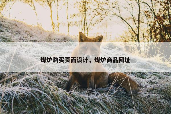 煤炉购买页面设计，煤炉商品网址