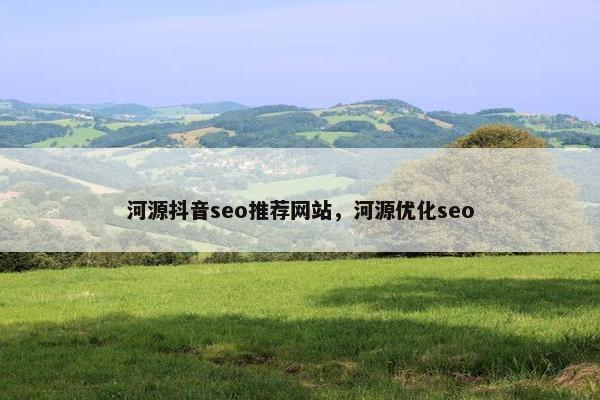 河源抖音seo推荐网站，河源优化seo