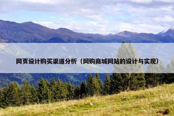 网页设计购买渠道分析（网购商城网站的设计与实现）