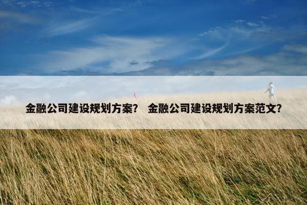 金融公司建设规划方案？ 金融公司建设规划方案范文？