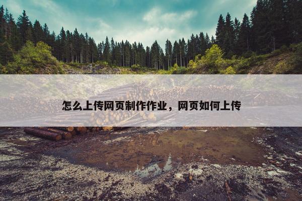 怎么上传网页制作作业，网页如何上传