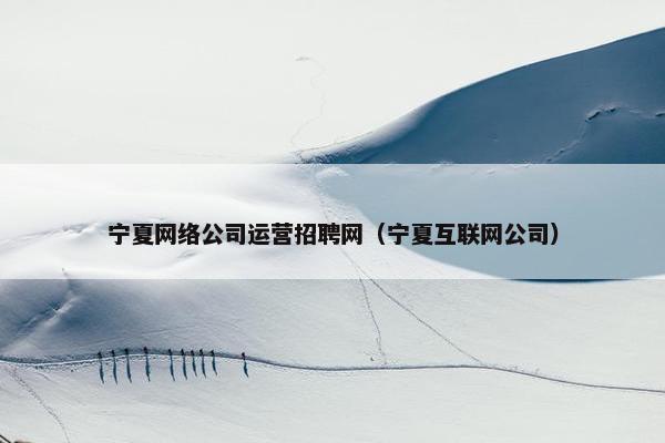 宁夏网络公司运营招聘网（宁夏互联网公司）