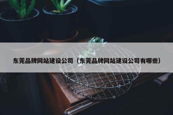 东莞品牌网站建设公司（东莞品牌网站建设公司有哪些）