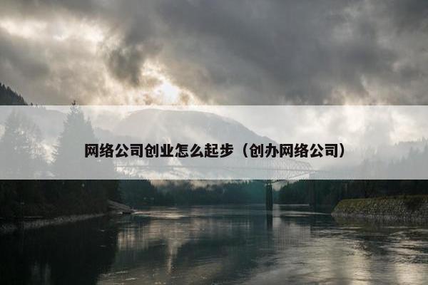 网络公司创业怎么起步（创办网络公司）