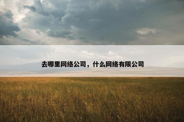 去哪里网络公司，什么网络有限公司