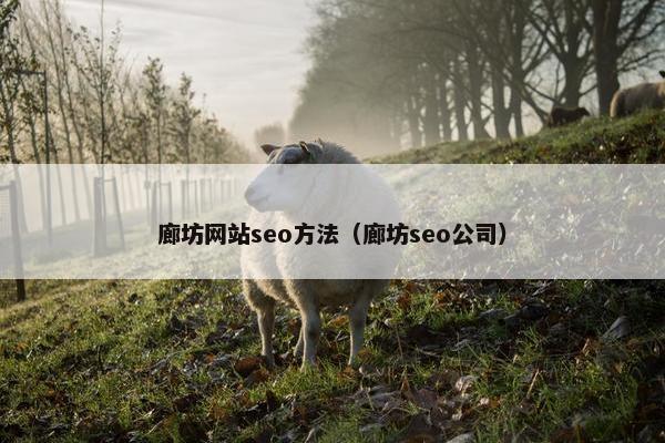 廊坊网站seo方法（廊坊seo公司）