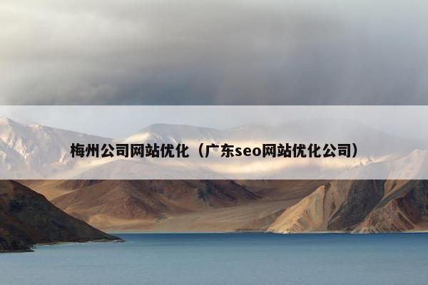 梅州公司网站优化（广东seo网站优化公司）