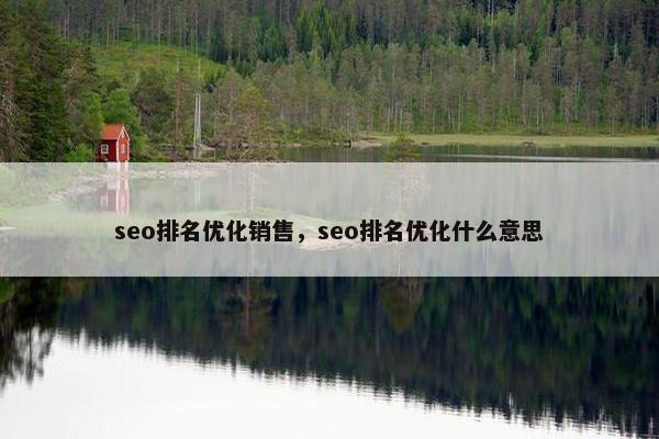 seo排名优化销售，seo排名优化什么意思