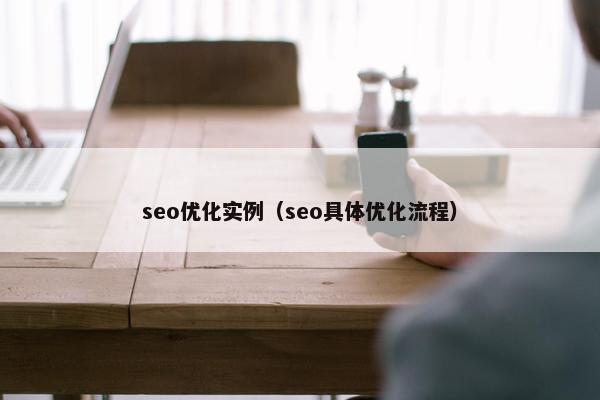 seo优化实例（seo具体优化流程）