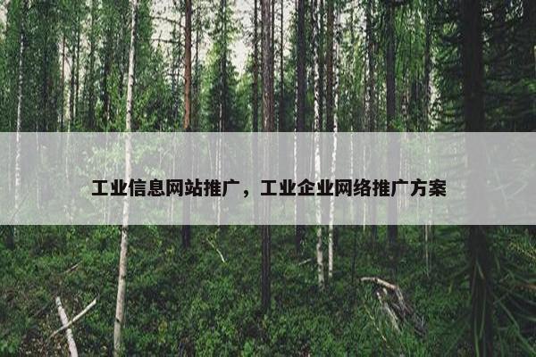 工业信息网站推广，工业企业网络推广方案