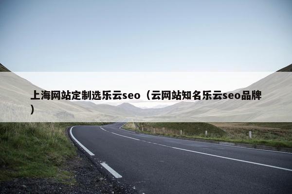 上海网站定制选乐云seo（云网站知名乐云seo品牌）