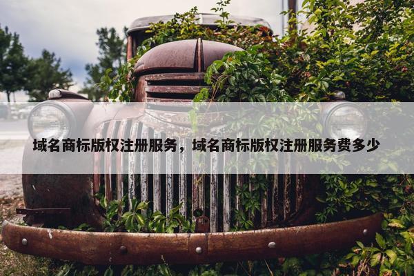 域名商标版权注册服务，域名商标版权注册服务费多少