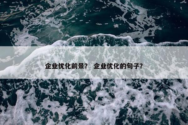 企业优化前景？ 企业优化的句子？