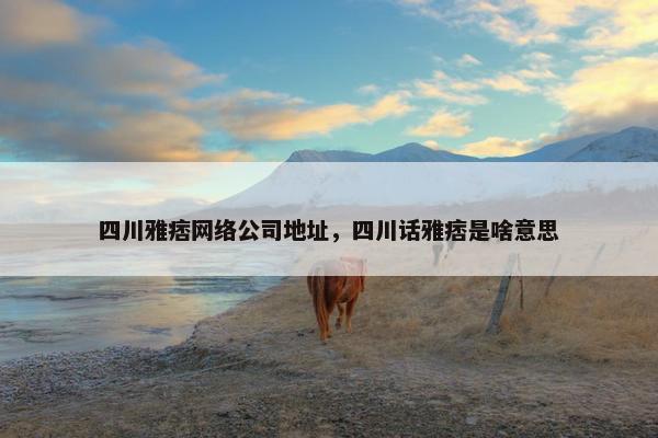 四川雅痞网络公司地址，四川话雅痞是啥意思