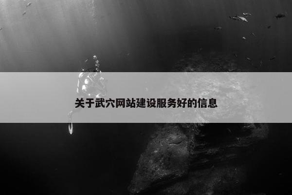 关于武穴网站建设服务好的信息