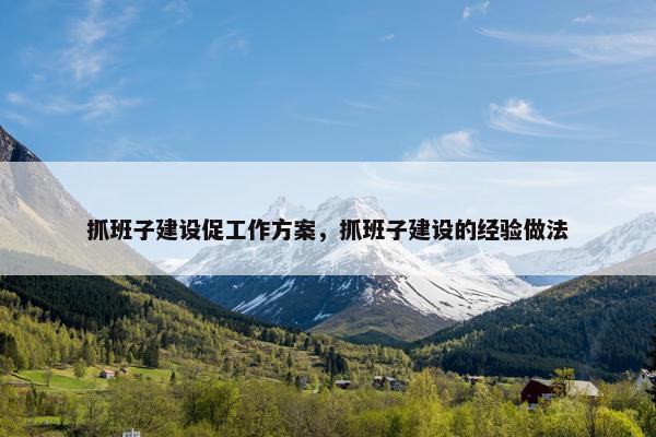 抓班子建设促工作方案，抓班子建设的经验做法