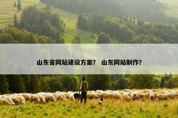 山东省网站建设方案？ 山东网站制作？