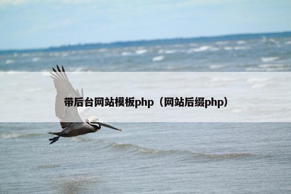 带后台网站模板php（网站后缀php）