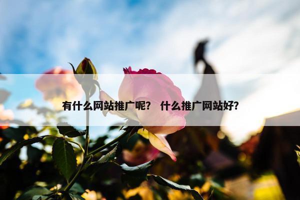 有什么网站推广呢？ 什么推广网站好？