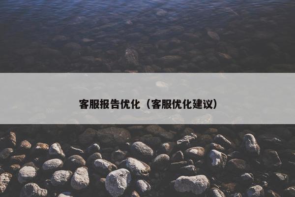 客服报告优化（客服优化建议）
