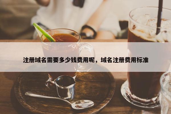 注册域名需要多少钱费用呢，域名注册费用标准