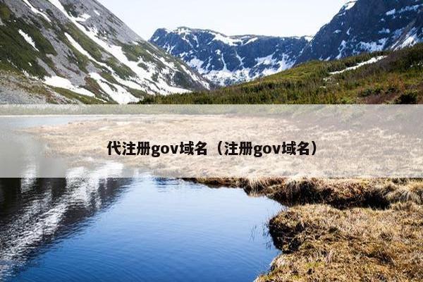 代注册gov域名（注册gov域名）