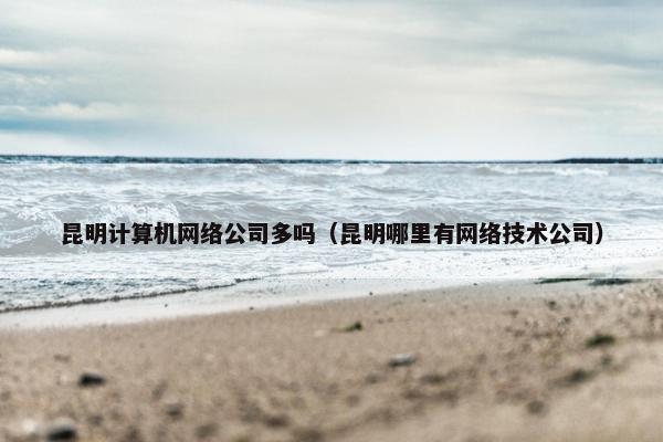 昆明计算机网络公司多吗（昆明哪里有网络技术公司）