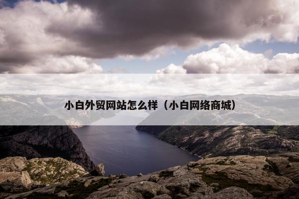 小白外贸网站怎么样（小白网络商城）