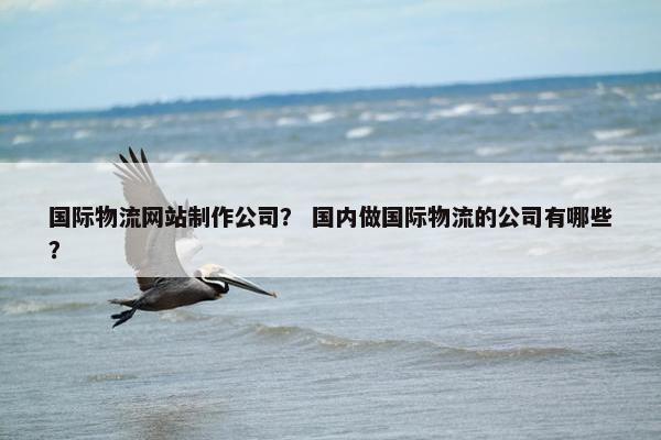 国际物流网站制作公司？ 国内做国际物流的公司有哪些？