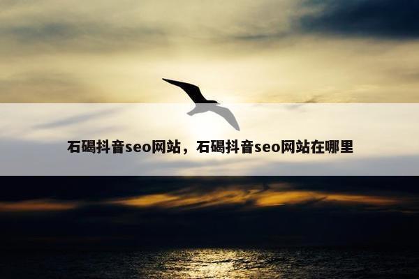 石碣抖音seo网站，石碣抖音seo网站在哪里