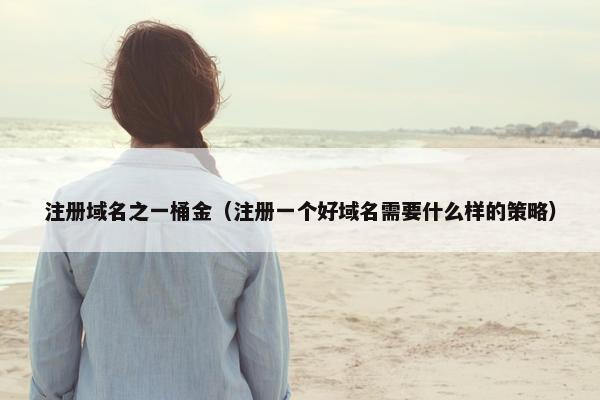 注册域名之一桶金（注册一个好域名需要什么样的策略）