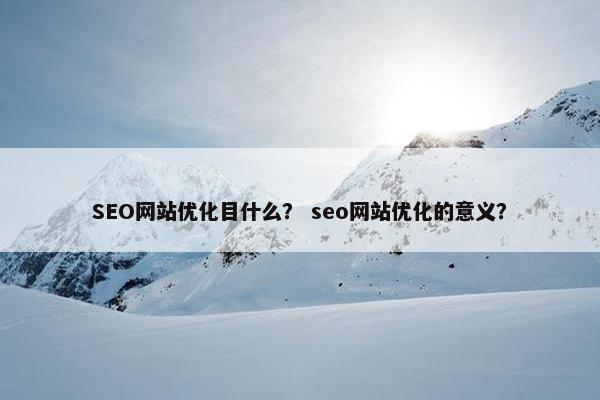 SEO网站优化目什么？ seo网站优化的意义？