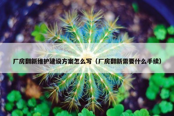 厂房翻新维护建设方案怎么写（厂房翻新需要什么手续）