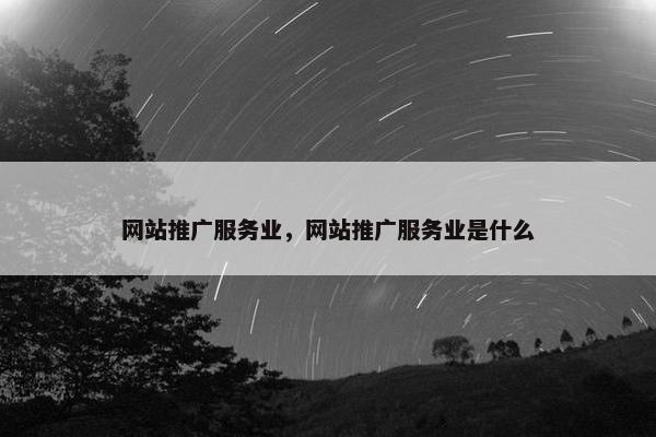 网站推广服务业，网站推广服务业是什么
