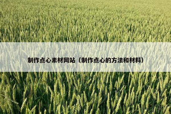 制作点心素材网站（制作点心的方法和材料）