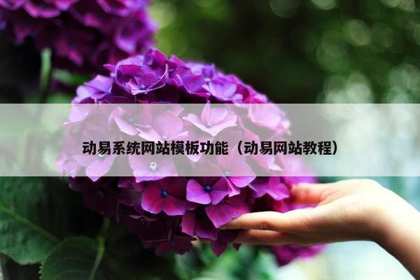 动易系统网站模板功能（动易网站教程）