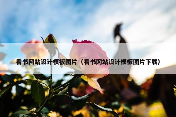 看书网站设计模板图片（看书网站设计模板图片下载）