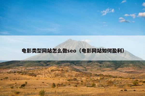 电影类型网站怎么做seo（电影网站如何盈利）