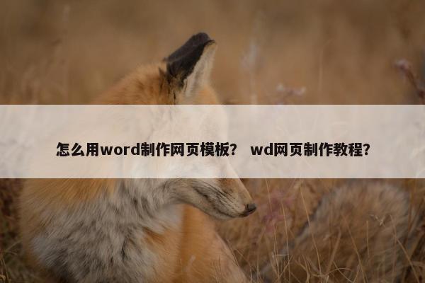 怎么用word制作网页模板？ wd网页制作教程？