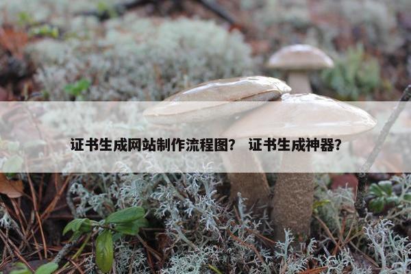证书生成网站制作流程图？ 证书生成神器？