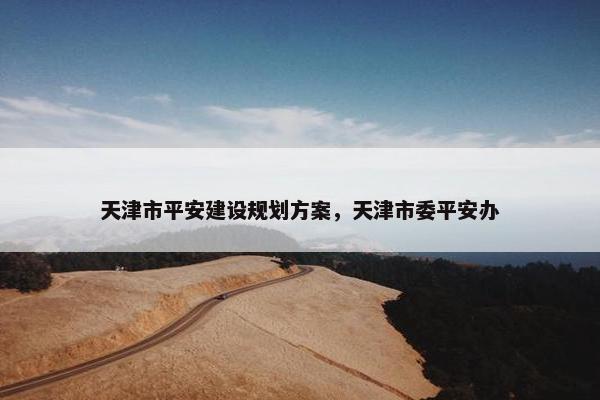 天津市平安建设规划方案，天津市委平安办