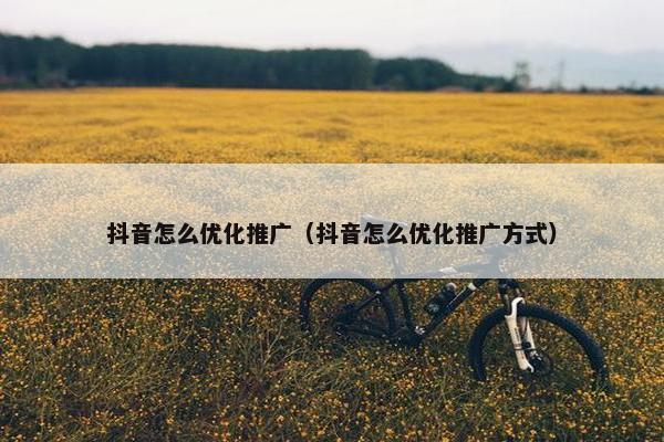 抖音怎么优化推广（抖音怎么优化推广方式）