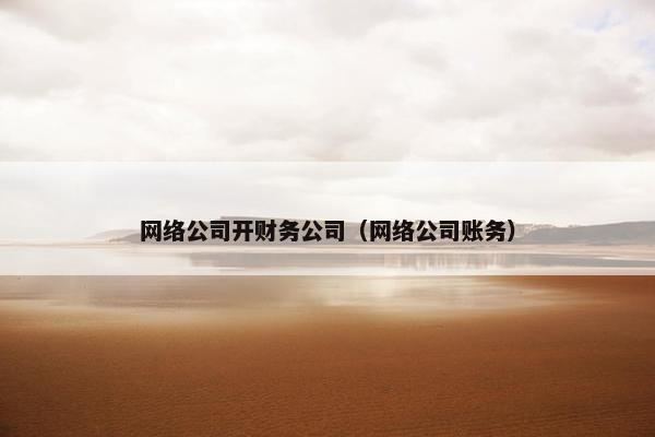 网络公司开财务公司（网络公司账务）