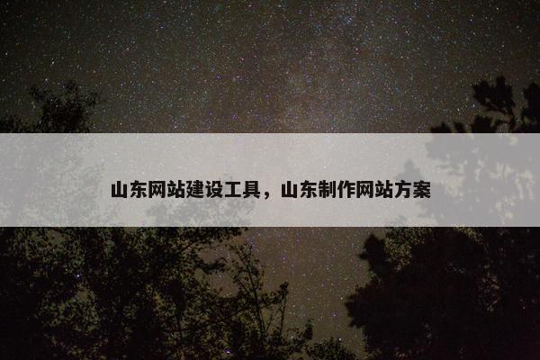 山东网站建设工具，山东制作网站方案