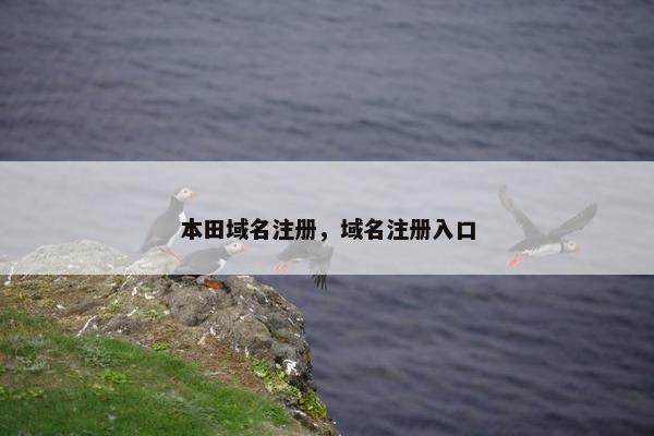 本田域名注册，域名注册入口