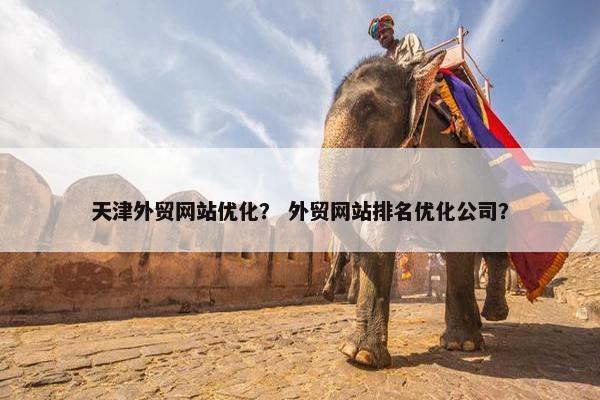 天津外贸网站优化？ 外贸网站排名优化公司？