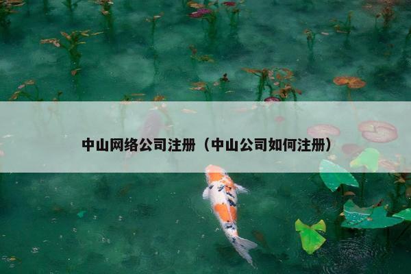中山网络公司注册（中山公司如何注册）